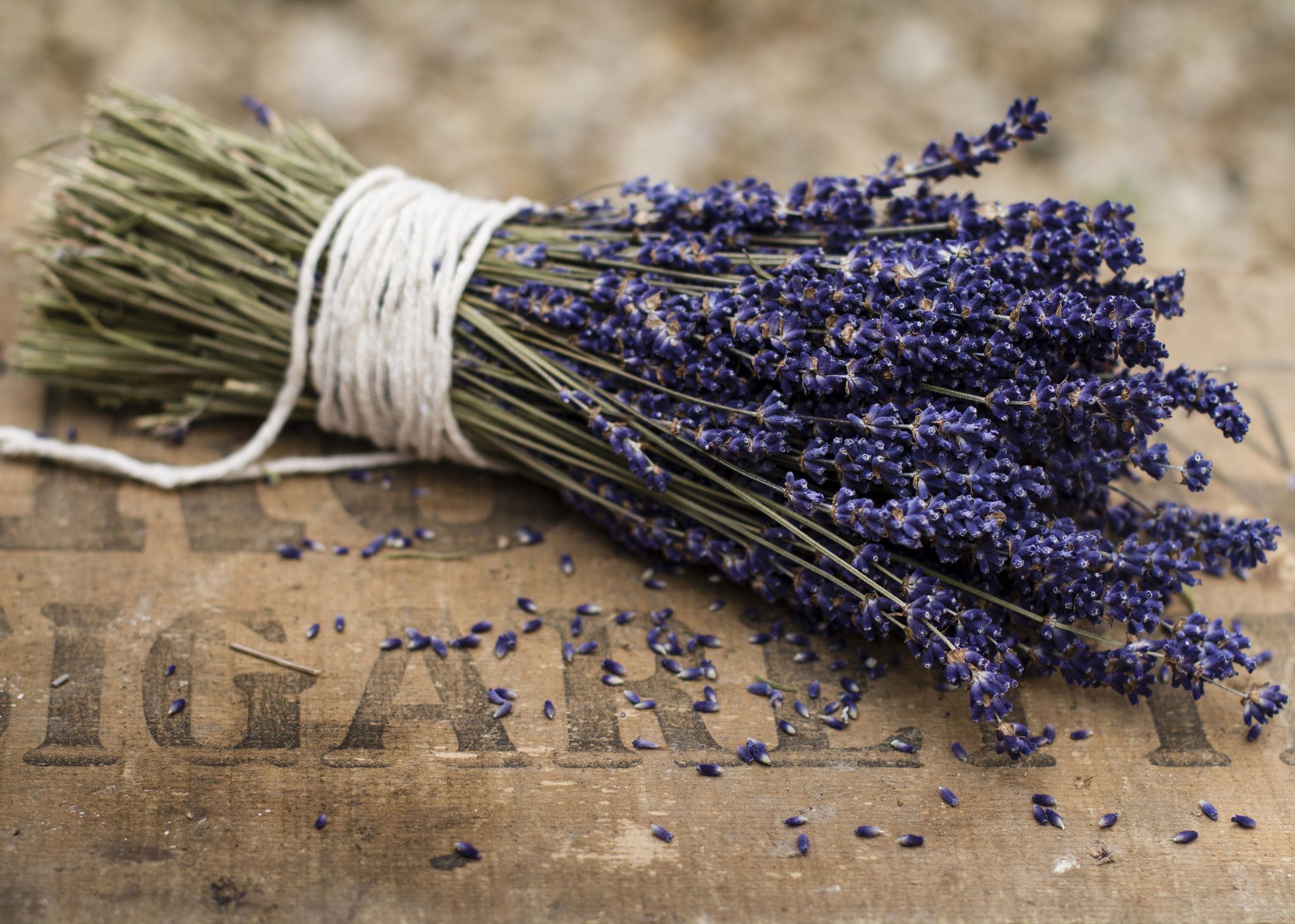 Refreshing Lavender Bitters Non-Alc Recipe | Zero Proof – Ritual