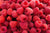 Raspberry Simple Syrup Recipe